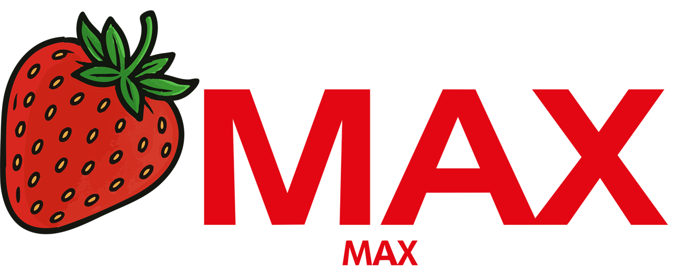 Autohaus MAX Mannheim